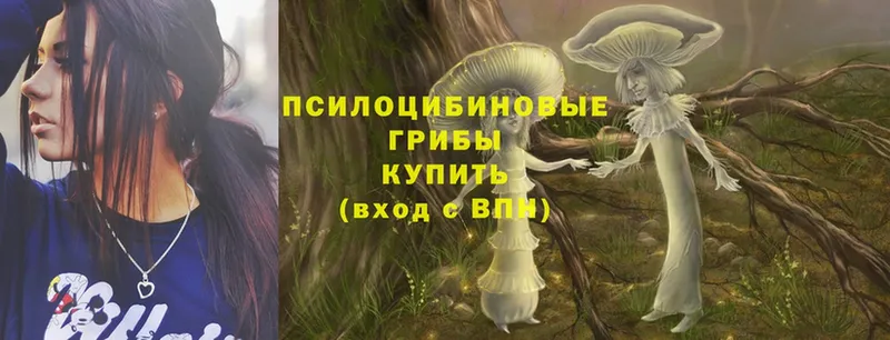 кракен маркетплейс  Орлов  Псилоцибиновые грибы Psilocybe 